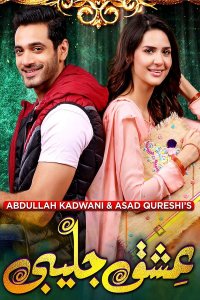 ������ � ������ ������ � ������� / Ishq Jalebi (�� ������� �����)