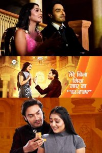 ������ � ������ ���� �� ���� ��� ���� / Tere bina jiya jaye na (�� ������� �����)